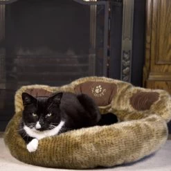 Paw Bed - Teddy Bear β Bonnie Little Paws