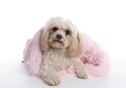 Pink Shaggy Pooch Dog Pod — Bonnie Little Paws