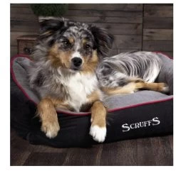 Scruffs Thermal Box Bed - Black & Grey — Bonnie Little Paws