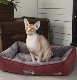 Scruffs Thermal Lounger Cat Bed - — Bonnie Little Paws
