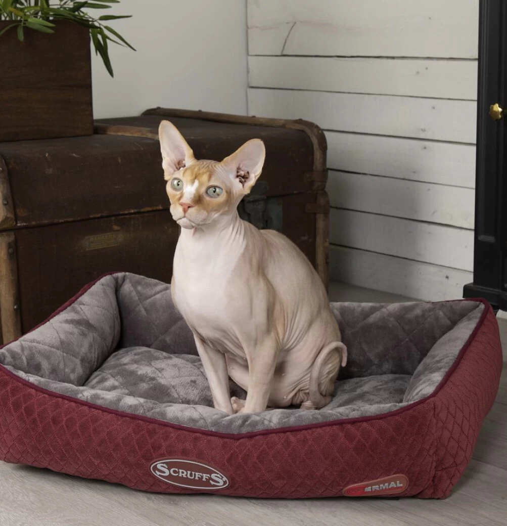Scruffs Thermal Lounger Cat Bed - — Bonnie Little Paws 2 Scruffs Thermal Lounger Cat Bed - — Bonnie Little Paws - Image 2