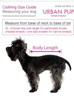 Urban Pup Sweatshirt — Bonnie Little Paws 11 Urban Pup Sweatshirt — Bonnie Little Paws -Cat And Dog Supplies 5548FD6D F9F7 4405 B6E0 D3BF62BC2D8E 3