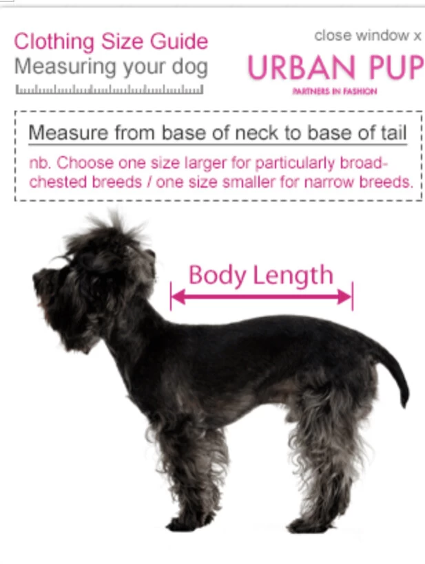 Urban Pup Sweatshirt — Bonnie Little Paws 6 Urban Pup Sweatshirt — Bonnie Little Paws - Image 6