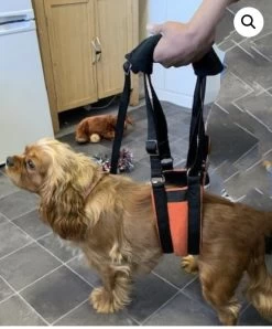 Dog Support Sling — Bonnie Little Paws