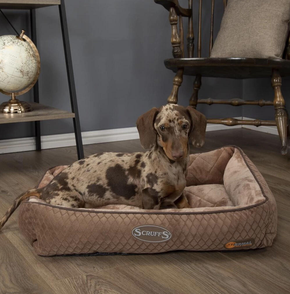 Scruffs Thermal Lounger Cat Bed - — Bonnie Little Paws 5 Scruffs Thermal Lounger Cat Bed - — Bonnie Little Paws - Image 5