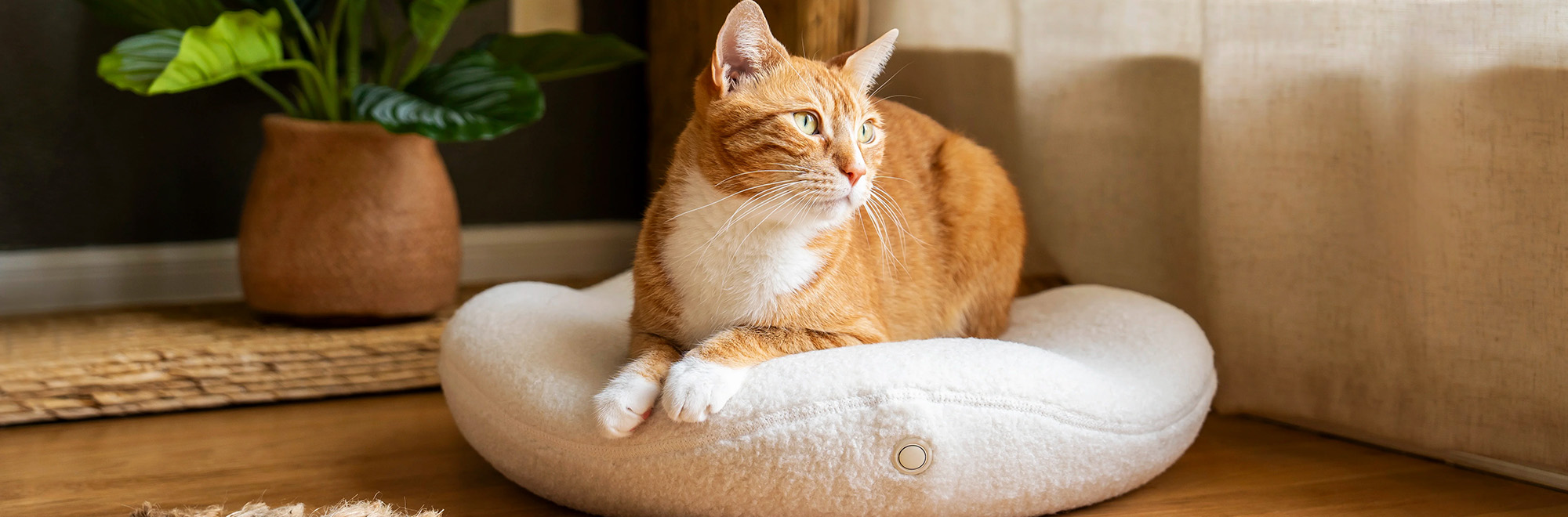 Cat And Dog Supplies -Cat And Dog Supplies 1